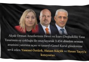 Yeşil Barış Hareketi: Orman peşkeşi için mahkeme devre dışı bırakılıyor