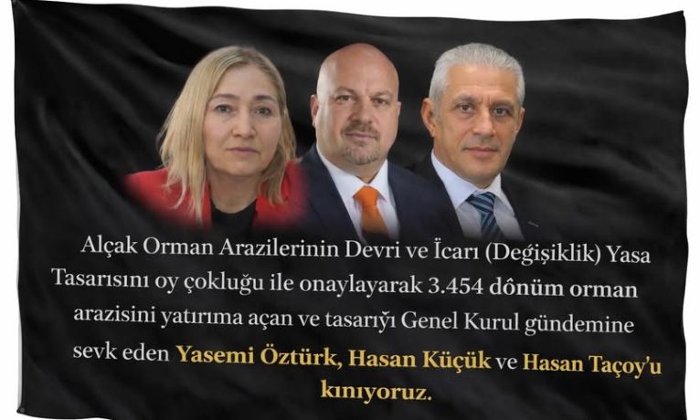 Yeşil Barış Hareketi: Orman peşkeşi için mahkeme devre dışı bırakılıyor