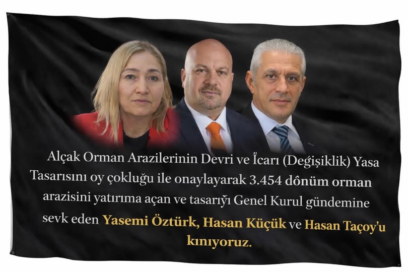 Yeşil Barış Hareketi: Orman peşkeşi için mahkeme devre dışı bırakılıyor