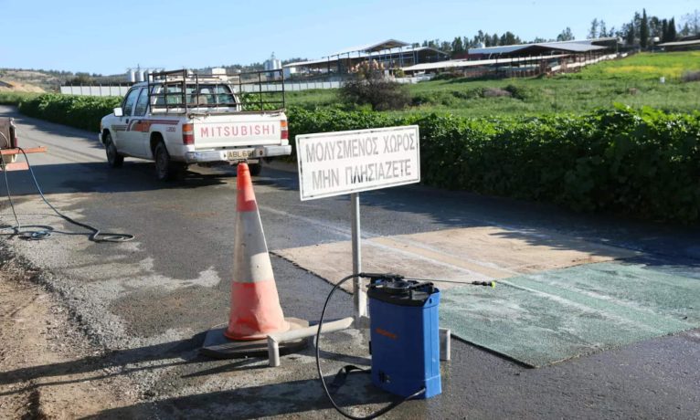 Şap Krizi: 49 işletmede itlaf bitti, çiftlikler çamura gömüldü