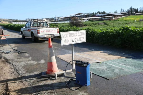 Şap Krizi: 49 işletmede itlaf bitti, çiftlikler çamura gömüldü