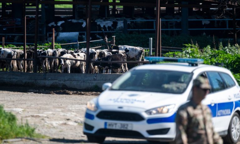 Şap hastalığına karşı yeni kontrol kararnamesi yayımlandı