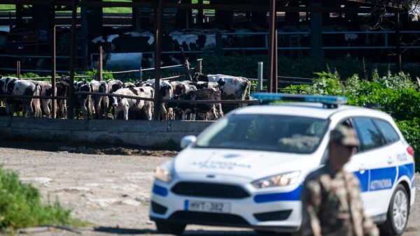 Şap hastalığına karşı yeni kontrol kararnamesi yayımlandı