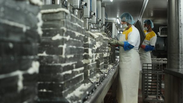 Hellim anlaşma dışında kaldı