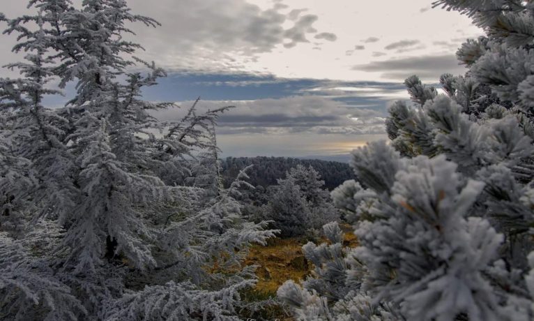 Trodos’a kar, fırtına yolda