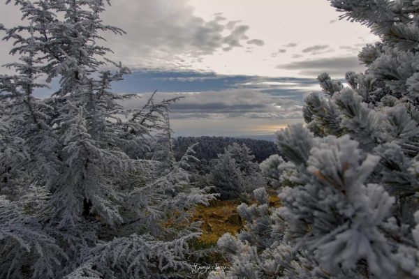 Trodos’a kar, fırtına yolda