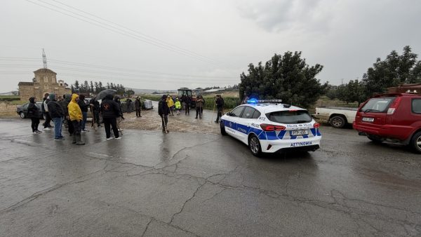 Hayvan yetiştiricileri toplandı: İtlafı engellemek istiyorlar