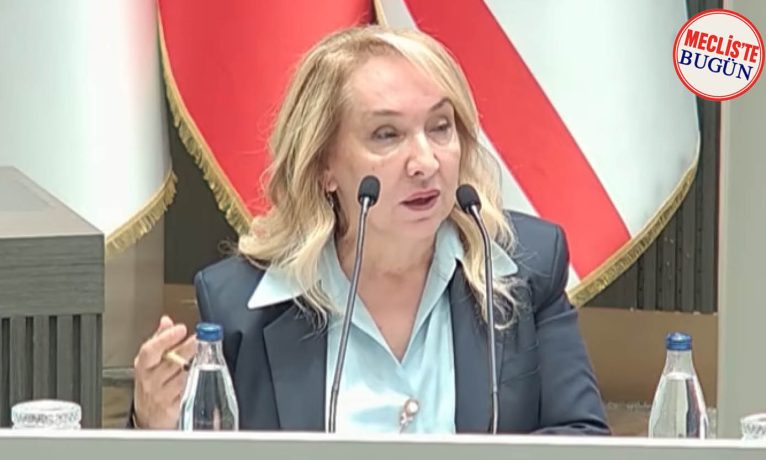 Besim: “7 dakikalık randevuyla sağlık hizmeti verilemez”