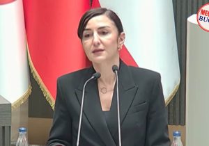 Rogers: “Hekimleri hedef göstererek sağlık sistemi düzelmez”