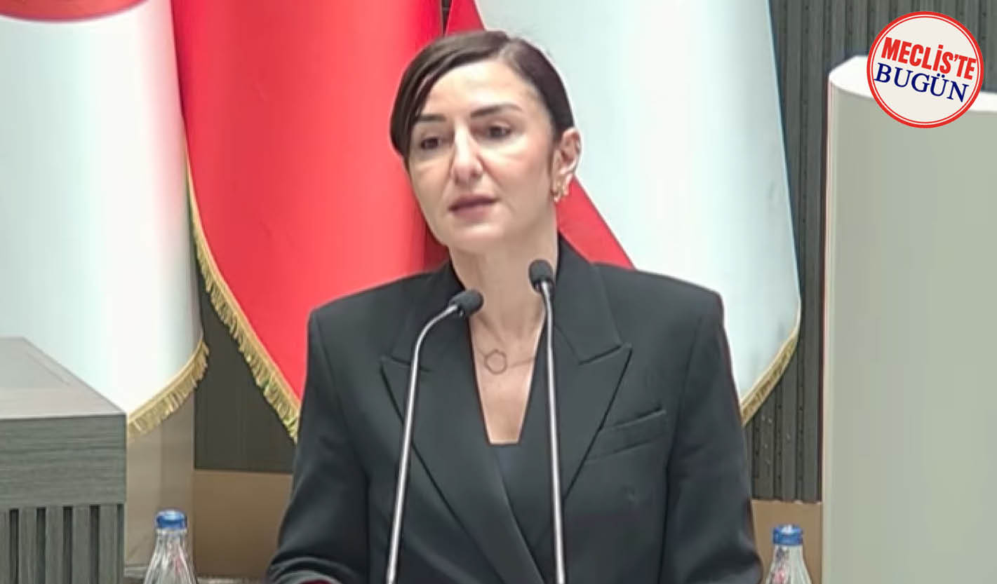 Rogers: “Hekimleri hedef göstererek sağlık sistemi düzelmez”