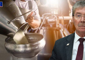 %21 faizle kredi: Süt ürünleri imalatçılarına 325 milyon TL’lik destek paketi