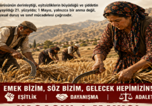 “Emek mücadelesi siyasal bir duruştur!”