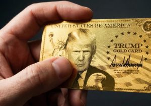 Milyon dolarlık vizeye tek müşteri