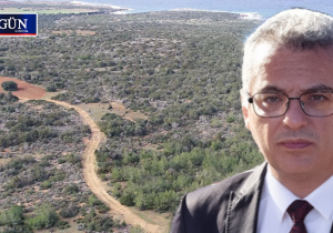 Orman yasası geri iade edildi: “Bu kadar olumsuzluğun içinde umut!”