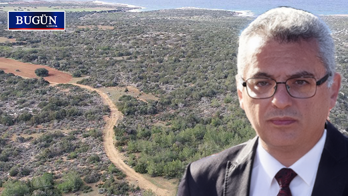 Orman yasası geri iade edildi: “Bu kadar olumsuzluğun içinde umut!”