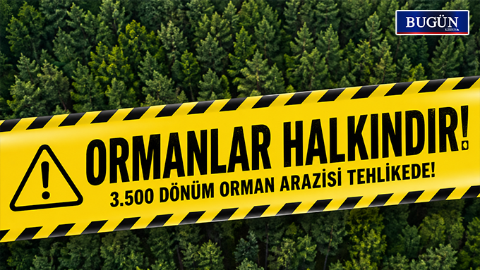 Veto sonrası 97 örgütten ortak çağrı: Orman yasası tamamen geri çekilsin