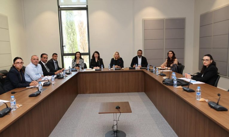 Basına hapis cezası öngören yasa değişmeden komiteden geçti