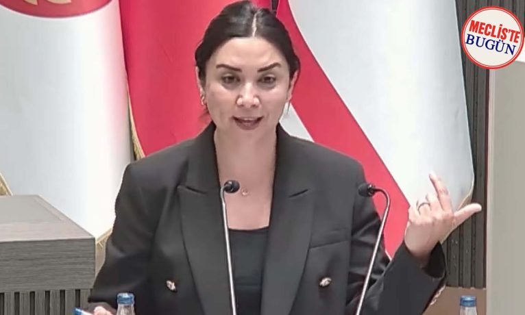 Baybars: “Sokaktan toplayıp gönderdiklerinizi şimdi af çıkarıp geri alıyorsunuz”