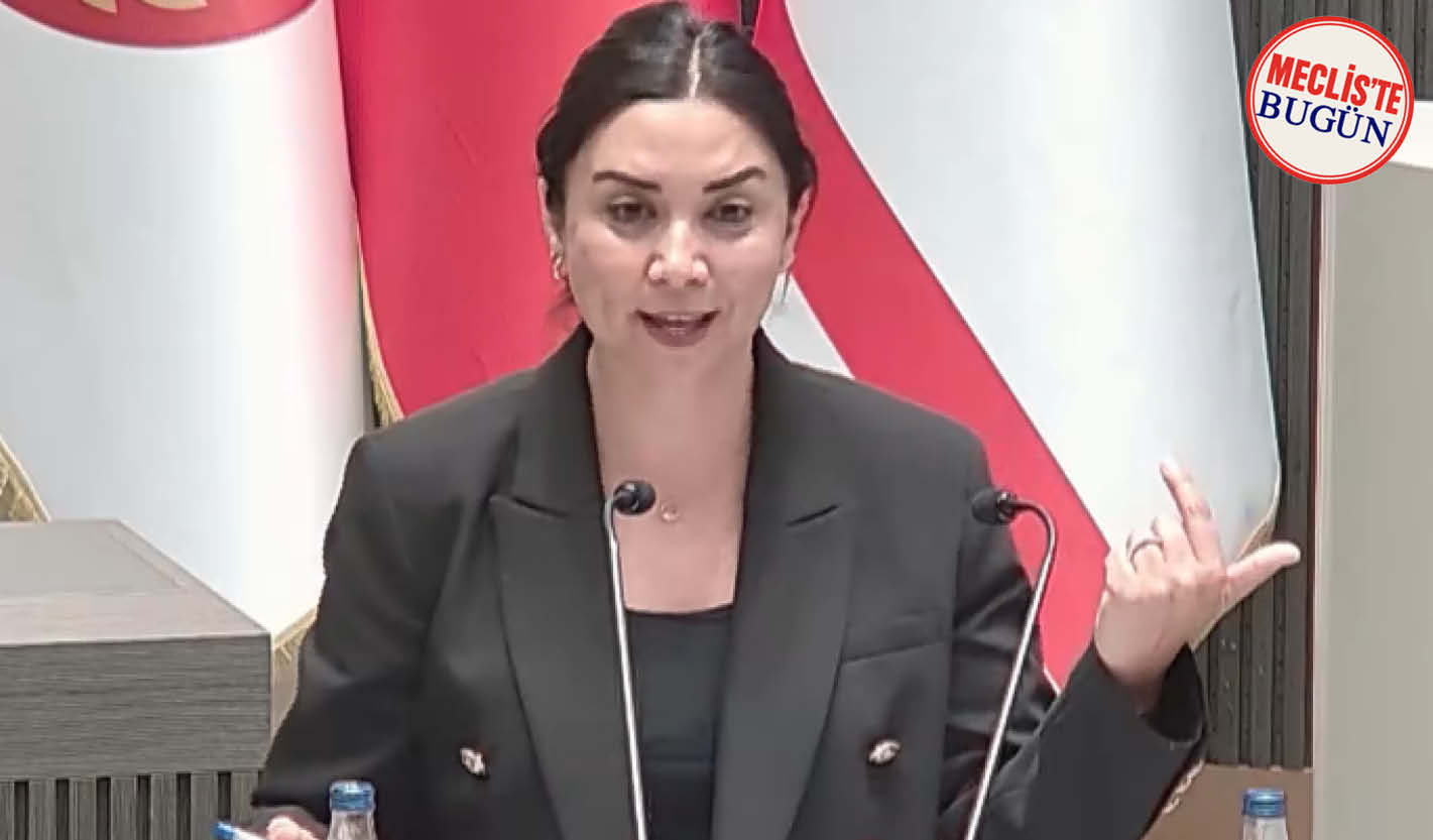 Baybars: “Sokaktan toplayıp gönderdiklerinizi şimdi af çıkarıp geri alıyorsunuz”