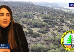 İTÜ peşkeşinde ısrar devam ediyor: Komite yasayı aynen Meclis’e gönderdi
