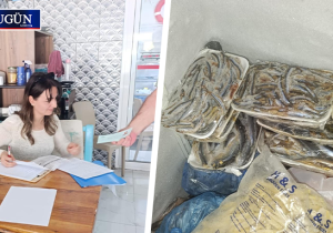 Denetimlerde 16 kilo balık imha edildi