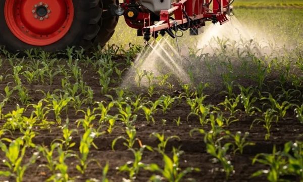 AB’de pestisit oylaması öncesi Kıbrıs taslağına eleştiri