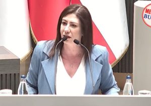 İncirli: “Güngör yanıyor, devlet seyrediyor”