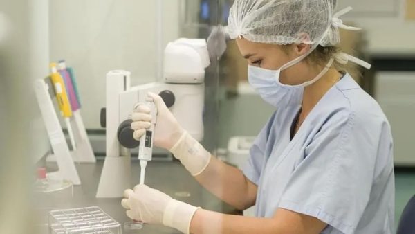 Yılda 500’den fazla kadın yumurtalarını donduruyor