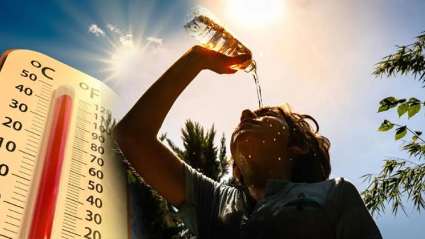 Almanya’da sıcak hava felaketi: 2026’nın ilk yedi ayında 9 bin 800 kişi öldü