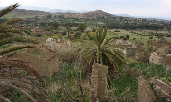 Ara bölge 52 yılda doğal yaşam sığınağına dönüştü