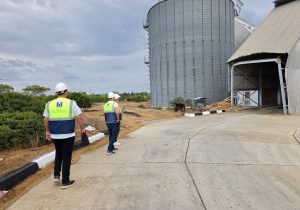 İMO Kumyalı’daki silo yıkımını inceledi: Tasarım ve bakım süreçleri araştırılacak