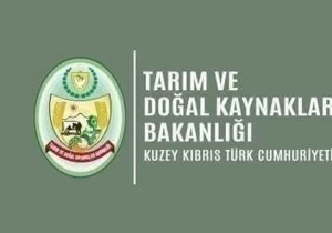 Küçükbaş üreticileri için beyan süresi 17 Temmuz’a uzatıldı