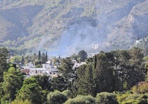 İki günde beş yangın: En az 15 bin 102,5 dönüm arazi zarar gördü