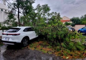 Fırtına Kıbrıs’ı vurdu: Ağaçlar devrildi, yollar kapandı, Larnaka açıklarında hortum oluştu