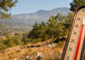 Sıcaklık yüksek, yangın riski kritik seviyede