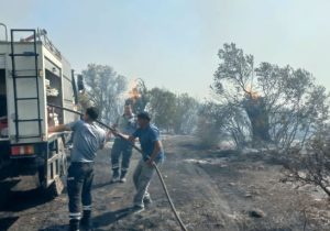Tirmen’de orman yangını: Havadan ve karadan müdahaleyle söndürüldü