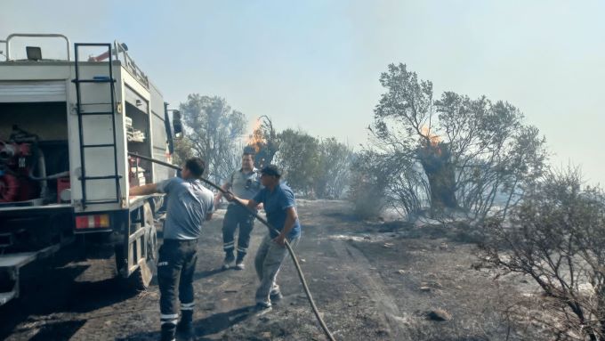 Tirmen’de orman yangını: Havadan ve karadan müdahaleyle söndürüldü