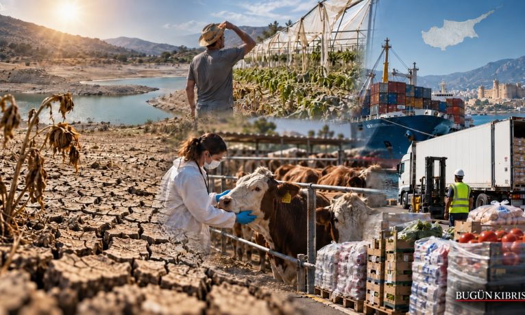 Güney tartışıyor I Kuraklık, şap ve ithalat baskısı: Kıbrıs’ın gıda zinciri ne kadar dayanıklı?