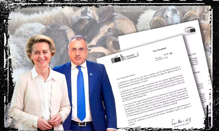 Von der Leyen: “Kuzeydeki hayvancılara AB tarım fonundan ödeme yapılmadı”