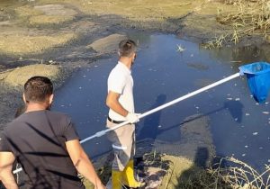 Gönyeli-Alayköy Belediyesi Batı Nil Virüsü’ne karşı sınır bölgelerinde kontrolleri artırdı