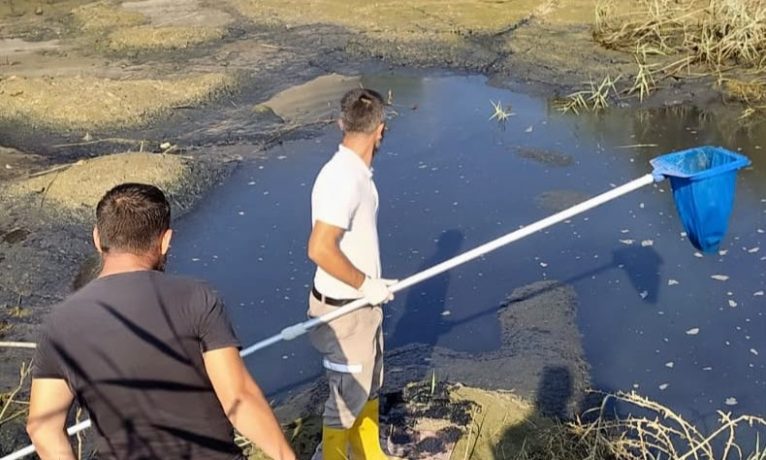 Gönyeli-Alayköy Belediyesi Batı Nil Virüsü’ne karşı sınır bölgelerinde kontrolleri artırdı
