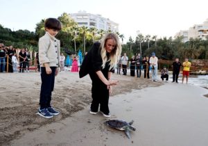 Tedavileri tamamlanan altı yeşil deniz kaplumbağası doğaya bırakıldı